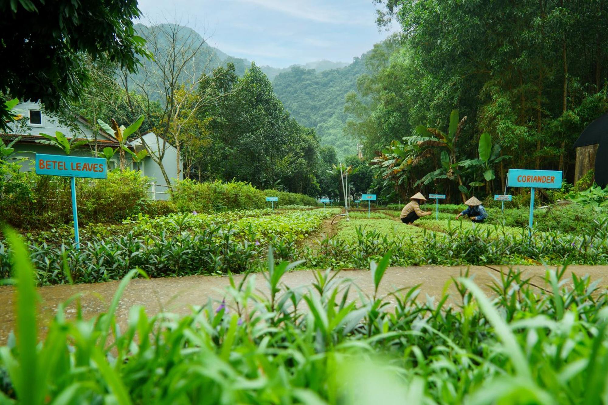 Chay Lap Farmstay Phong Nha Da Lon Bagian luar foto