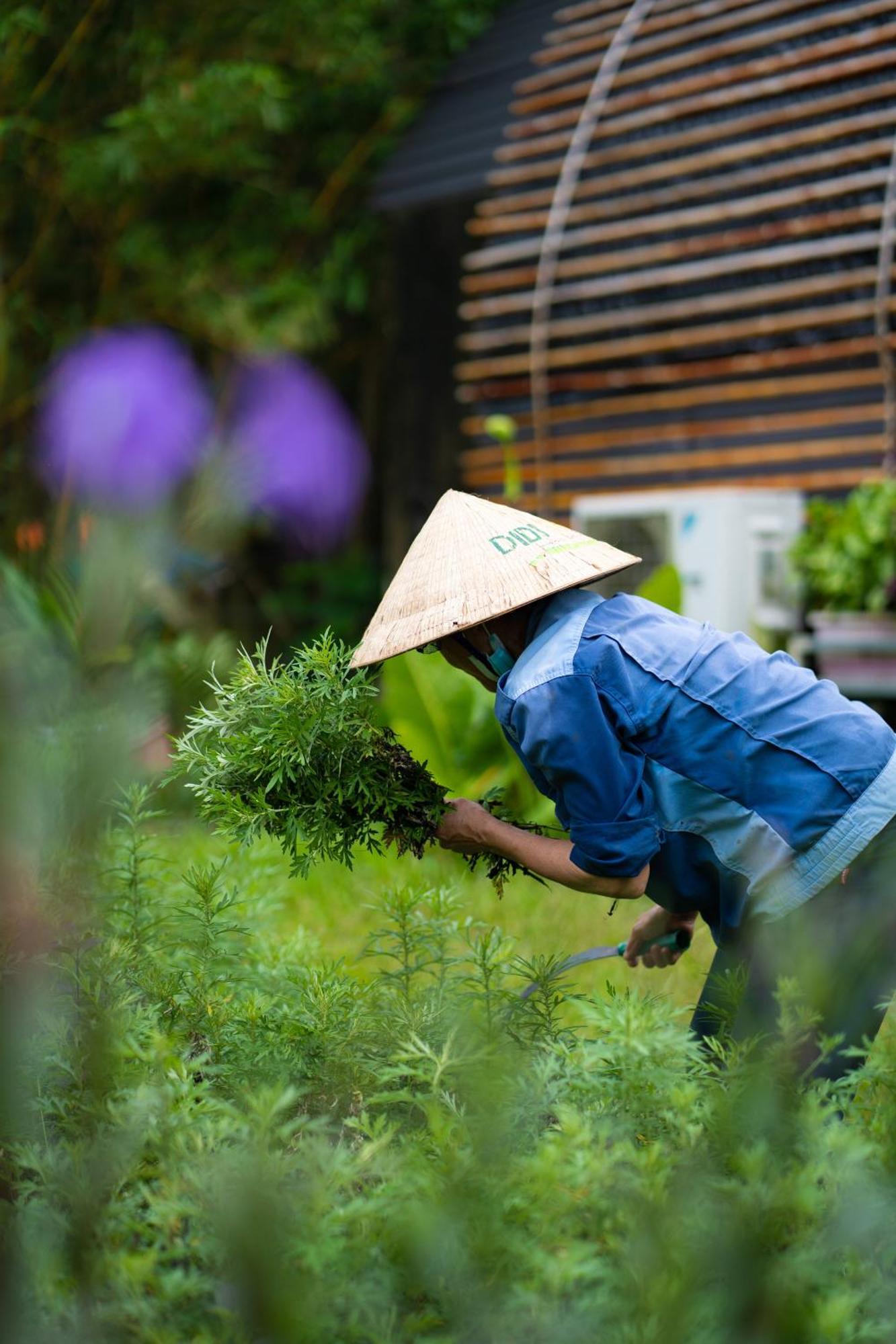 Chay Lap Farmstay Phong Nha Da Lon Bagian luar foto